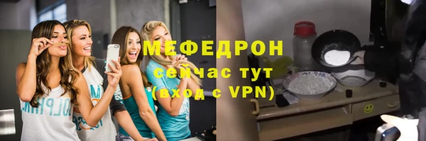 шишки Инта