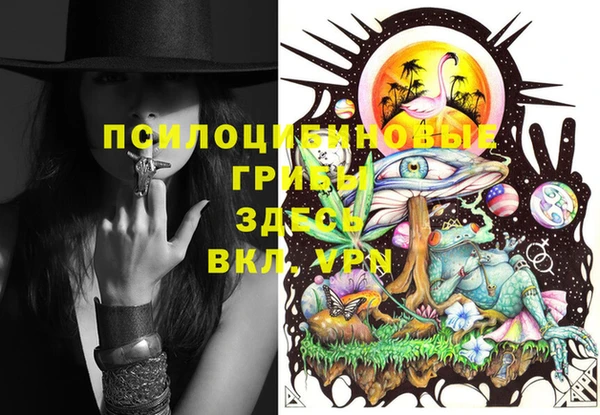 ПСИЛОЦИБИНОВЫЕ ГРИБЫ Белокуриха